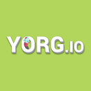 Yorg.io