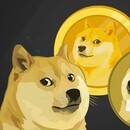 Doge Miner