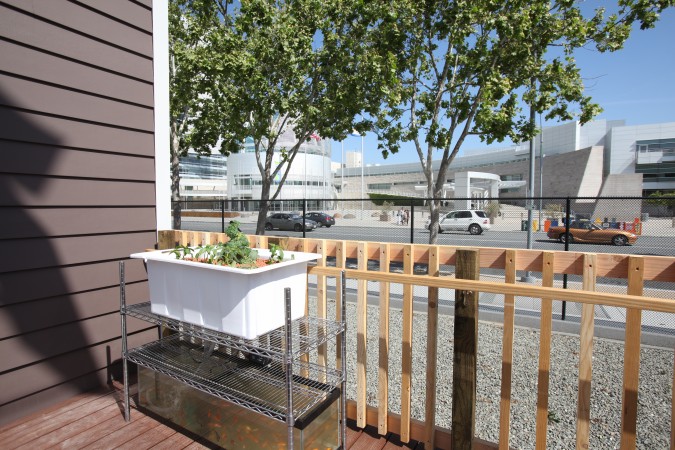 Aquaponics system in front of City Hall, San Jose, California USA, May 20, 2011