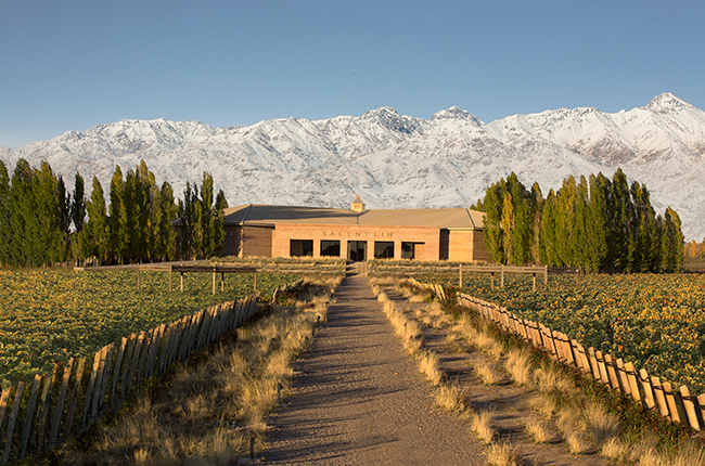 Best Wineries In Mendoza Argentina