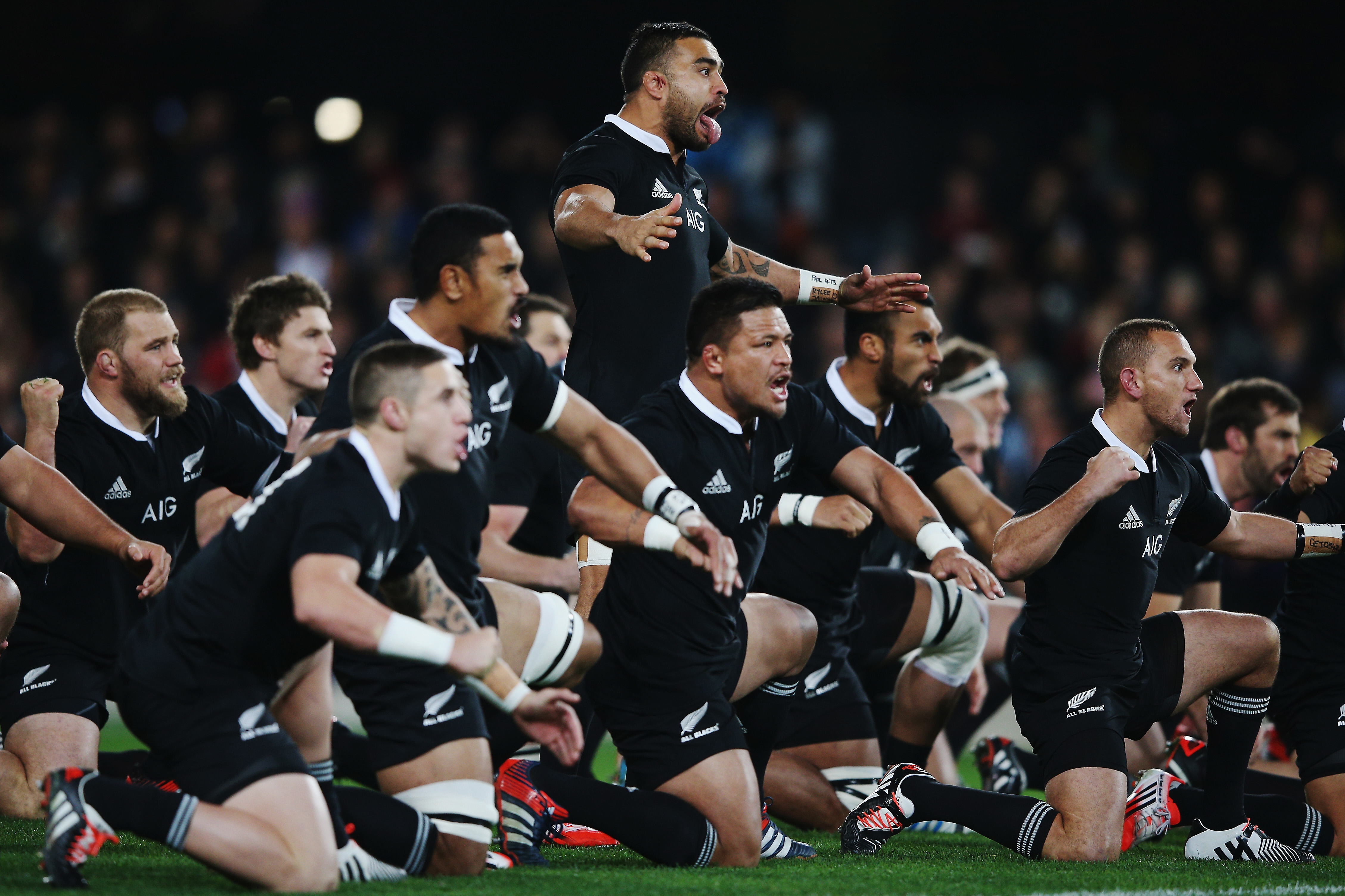 New Zealand Rugby Haka Telegraph