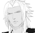 Xemnas in the Kingdom Hearts 358/2 Days manga.