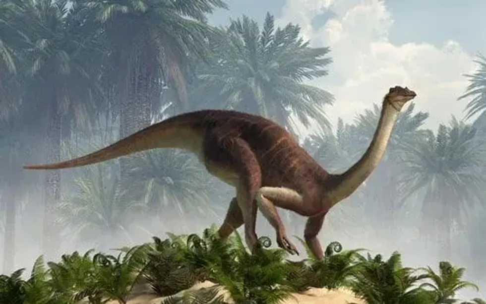 One of the known Gallimimus facts is their arms could bend.