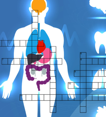 free PDF handout biology-crossword-biological-systems