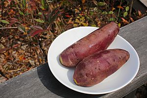 Jjin-goguma