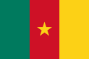 Flag of Cameroon