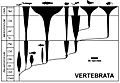 Spindle diagram