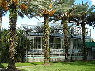 Fiuarboretum