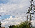 Stratocumulus castellanus 3oct