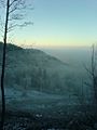 Stratus-Cloud-Uetliberg