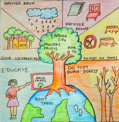 Trees - Kids Care About Climate Change 2021