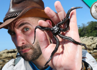 coyote peterson facts