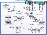 Ảnh Phương pháp bảo quản hoa tươi lâu sau thu hoạch