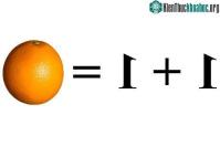 Ảnh Câu trả lời cho "Tại sao 1 + 1 = 2?"