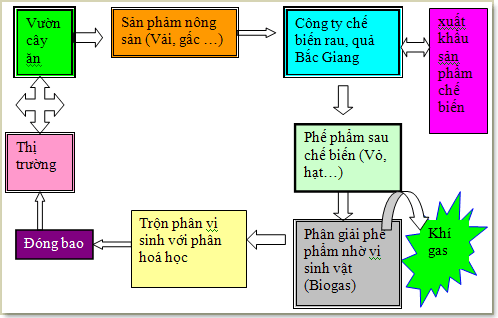 Ảnh Giải pháp xử lý phế phẩm sau chế biến tại Công ty chế biến rau quả Bắc Giang.