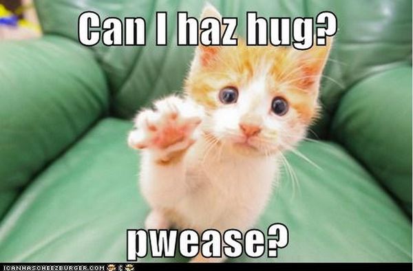 Excellent cute hug meme