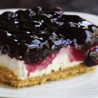 No Bake Blueberry Cheesecake feature