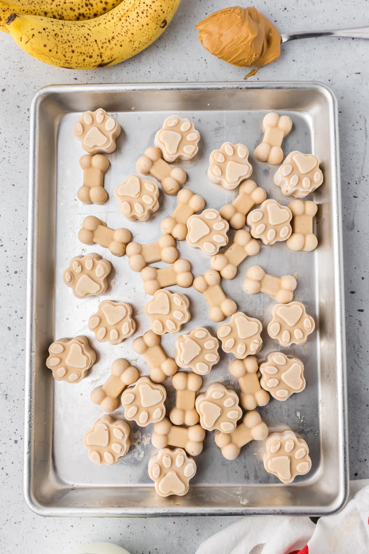 Homemade dog ice cream shaped like paws and bones