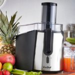 Whole Fruit Juicer