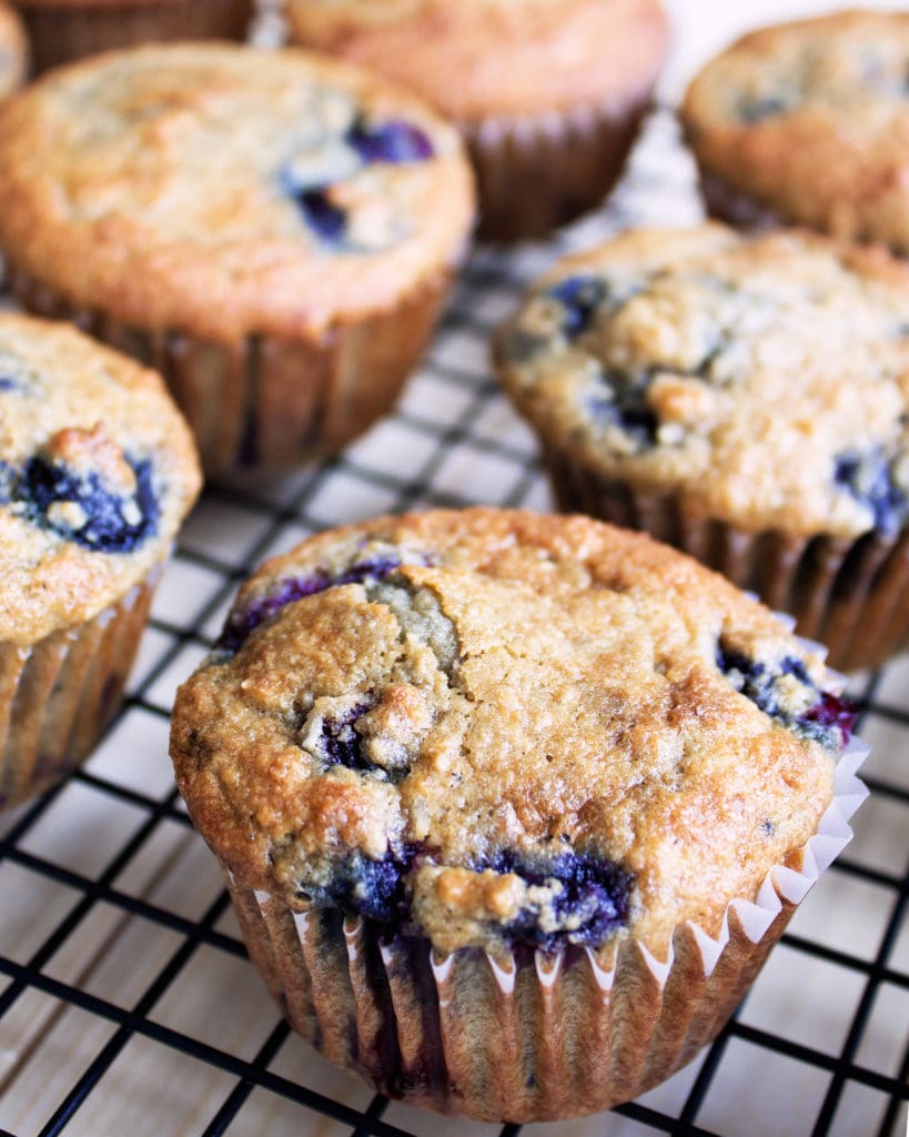 Paleo Blueberry Coconut Muffins | Kit's Coastal | #kitscoastal #coastalpaleo #paleo #glutenfree #dairyfree #muffins