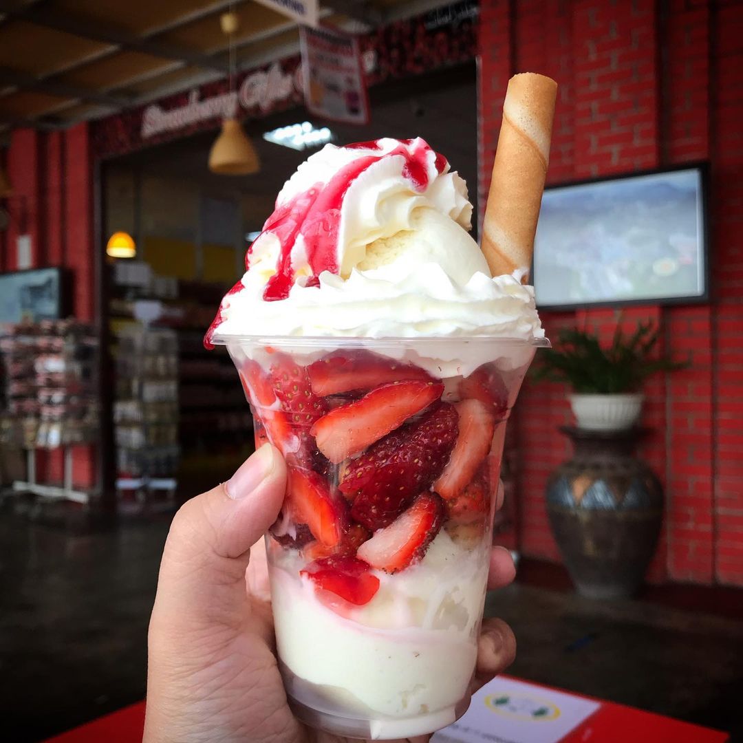 Big Red Strawberry Farm Cameron Highlands