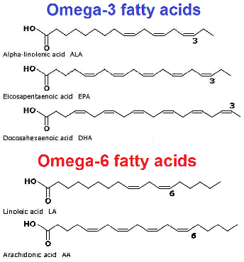 Fatty Acids, Omega-6; Omega-6 Fatty Acids