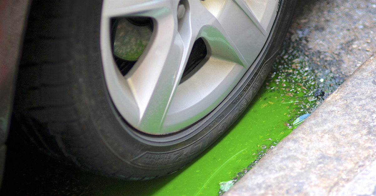 Green fluid puddled around car tire