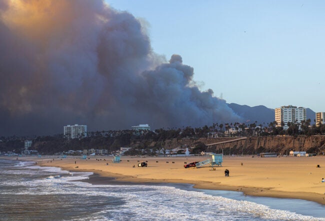 A beach view with a sandy shoreline in the foreground, and large plumes of smoke rising in the background. Buildings and palm trees are visible near the smoke, indicating a possible fire event near a coastal city.