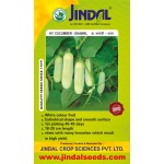 Jindal Cucumber Hybrid Seeds(kheera Seeds)-Dhawal-10GM