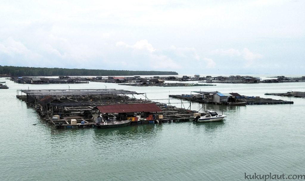 Countless Fish farms in Kukup