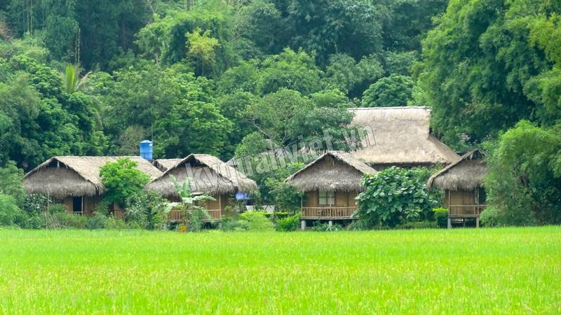 Tour Du Lịch Mai Châu - 2 Ngày 1 Đêm