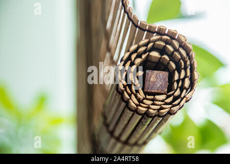 green plant with traditional style bamboo curtain Stock Photo