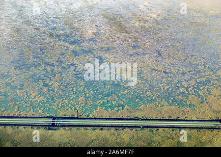 Fort Ft. Lauderdale Florida,Fort Lauderdale-Hollywood International Airport FLL,Alligator Alley Interstate 75 I 75 I-75,window seat aerial view,FL1909 Stock Photo