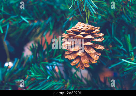 Pine cone on a christmas tree. Christmas concept. Stock Photo