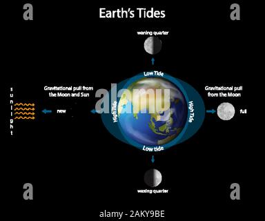 Diagram showing earth tides with earth and moon illustration Stock Vector