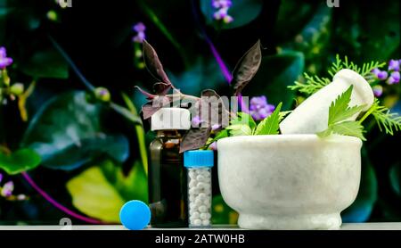 Natural Homeopathy Concept – Healing herbs in a mortar and pestle next to homeopathic medicine consisting a bottle of pills and liquid homeopathic sub Stock Photo