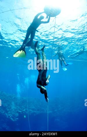 In the beggining of the dive Stock Photo