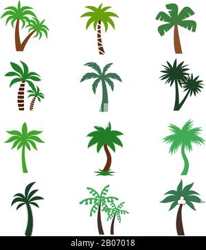 Color palm trees vector silhouettes. Set of tropical green plants illustration Stock Vector