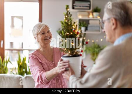 Senior couple in the living room together during Christmas Stock Photo