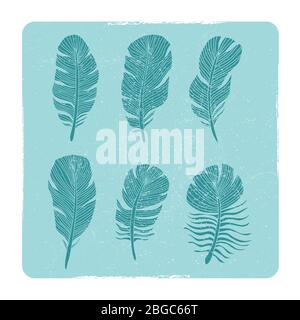 Grunge hand drawn birds feathers collection in frame. Vector illustration Stock Vector