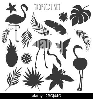 Grey tropical plants and flamingos silhouettes templates. Exotic bird and tropic leaf of palm. Vector illustration Stock Vector