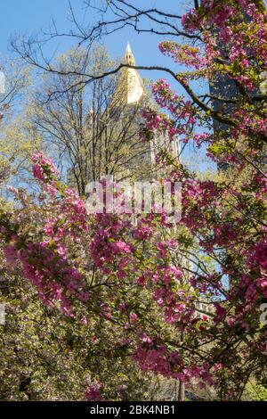 Spring Day, Madison Square Park, and New York Life Tower, NYC, USA Stock Photo