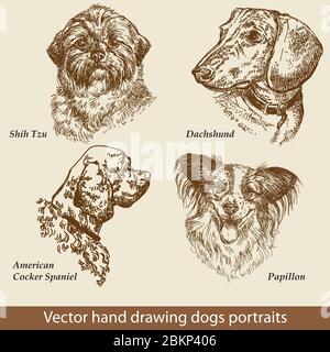 Hand drawing set of a cute dogs breeds. Dogs head isolated on beige background. Pencil, ink hand drawn realistic portrait. Animal collection. Good for Stock Vector