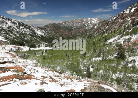 Late snow in June in Big Cottonwood Canyon, Utah Stock Photo