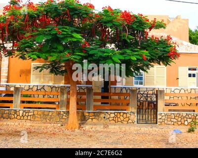 Beautiful architecture on Maio island, Cape Verde Stock Photo