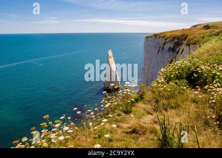 Old Harry Rocks, Dorset, England, UK Stock Photo