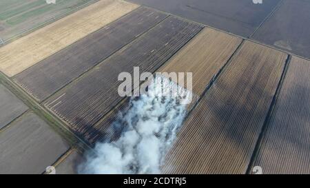 The burning of rice straw in the fields. Smoke from the burning of rice straw in checks. Fire on the field Stock Photo