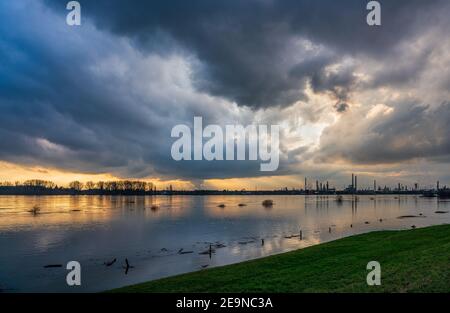 Flood on the Rhine, Germany. Chempark Dormagen in the background. Stock Photo