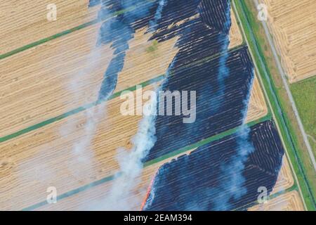 Burning straw in the fields of wheat after harvesting Stock Photo