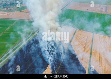 Burning straw in the fields of wheat after harvesting Stock Photo